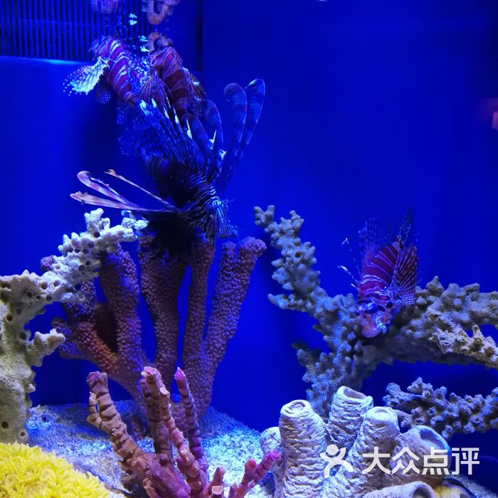 上海海洋水族館