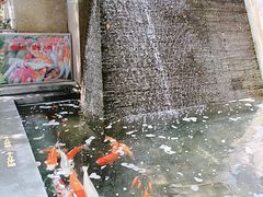 -泉眼温泉