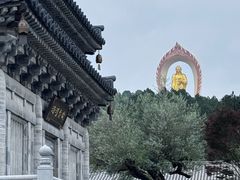 -庐山风景名胜区-东林大佛