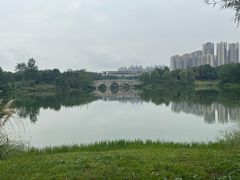 -眉山湿地公园(东坡区)