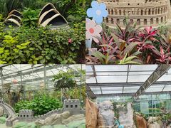 -南宫五洲植物乐园