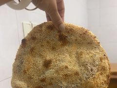 -徐记红川肉烧饼