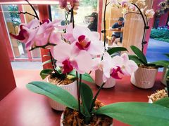 -二酉书店TOYOU BOOKS