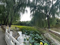 -东升八家郊野公园