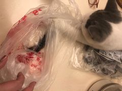 -清真老西北角温记粘食店(长沙路店)