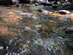 -云岫谷自然风景区
