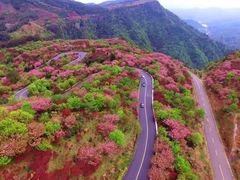 -宁波余姚老柿林山居度假村