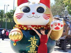-中粮·祥云小镇