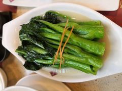 上汤富春菜心-点都德(汇盈广场店)
