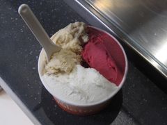 荔枝树莓洛神花-DIP in GELATO(富民路店)