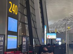 -郑州新郑国际机场-T2航站楼