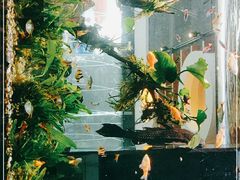 -大家乐(佛山南海店)