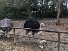 -南昌动物园