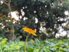 -小南山公园