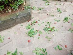 -山西王家大院