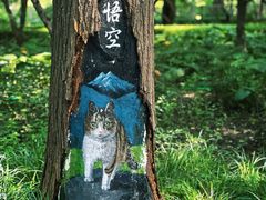 -迎泽公园