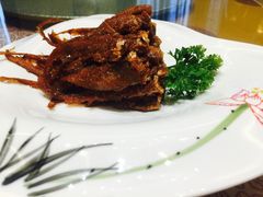 -济南喜来登酒店-采悦轩中餐厅