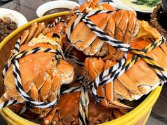 -七的湖·江南蟹舫·阳澄湖农家菜(蟹舫苑店)