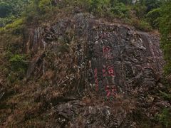 -水濂山森林公园