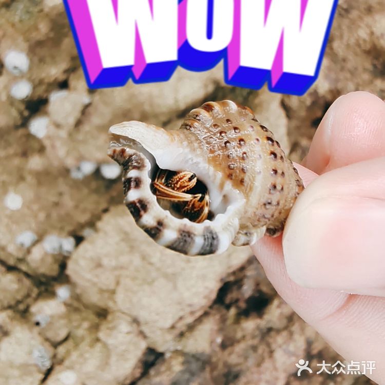 就是玩
