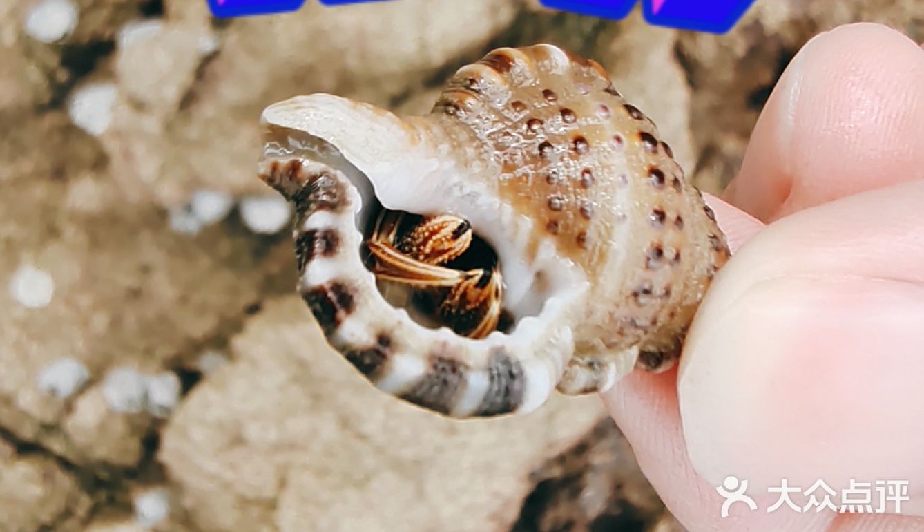 就是玩