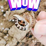 就是玩