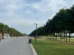 -汉长安城未央宫国家考古遗址公园