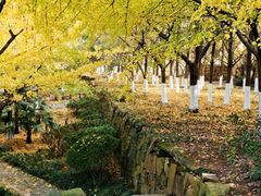 -白马涧龙池景区