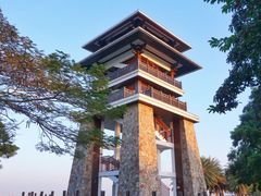 -大湾区中央湿地公园