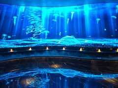 -唐宫足道·SPA·影院会馆(木渎店)