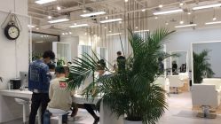 -P.STYLE派斯造型