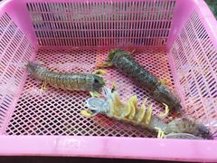 -班赞海鲜市场