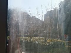 -荷风细雨·中国茶宴(碧云店)