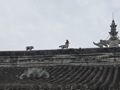 -房湖公园