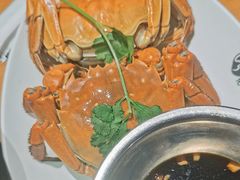 -0574龙虾的故事(东裕店)