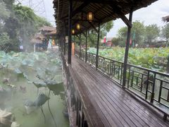 -军山湖云水间生态农业旅游景区