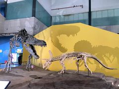 -湖南省地质博物馆