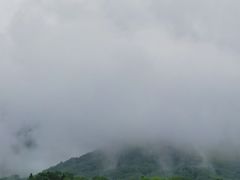 -凤凰山国家森林公园
