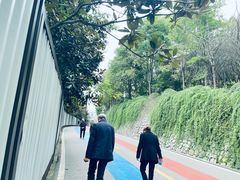 -翠屏公园