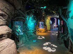 -沈阳海洋探索中心