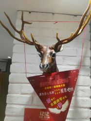 -川禾美发沙龙