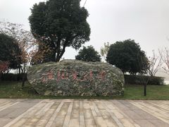 -长兴太湖图影湿地文化园