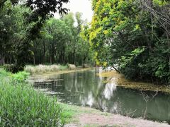 -昆山城市生态森林公园