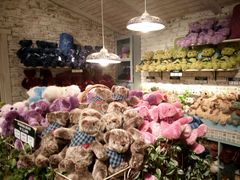 -济州岛泰迪熊博物馆