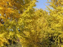 -浙江大学(紫金港校区)