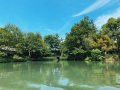 -西溪国家湿地公园