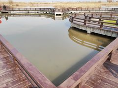 -宁波杭州湾国家湿地公园