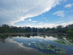 -中国科学院西双版纳热带植物园