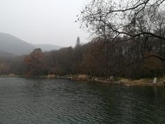 -紫霞湖公园