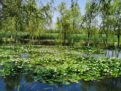 -永定河休闲森林公园